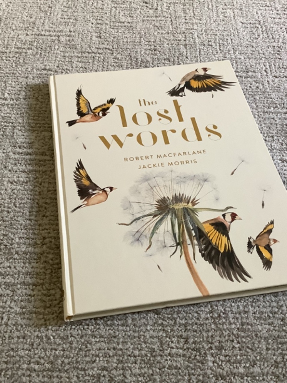 Bundle: The Lost Words Book and Puzzle - Picture 2 of 13